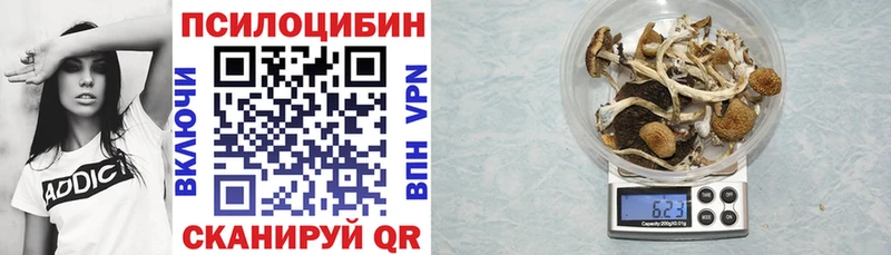 Псилоцибиновые грибы Cubensis  Шарыпово 