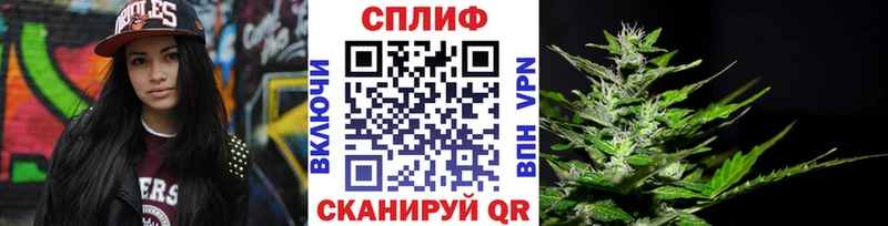 площадка состав Шарыпово Каннабис AK-47